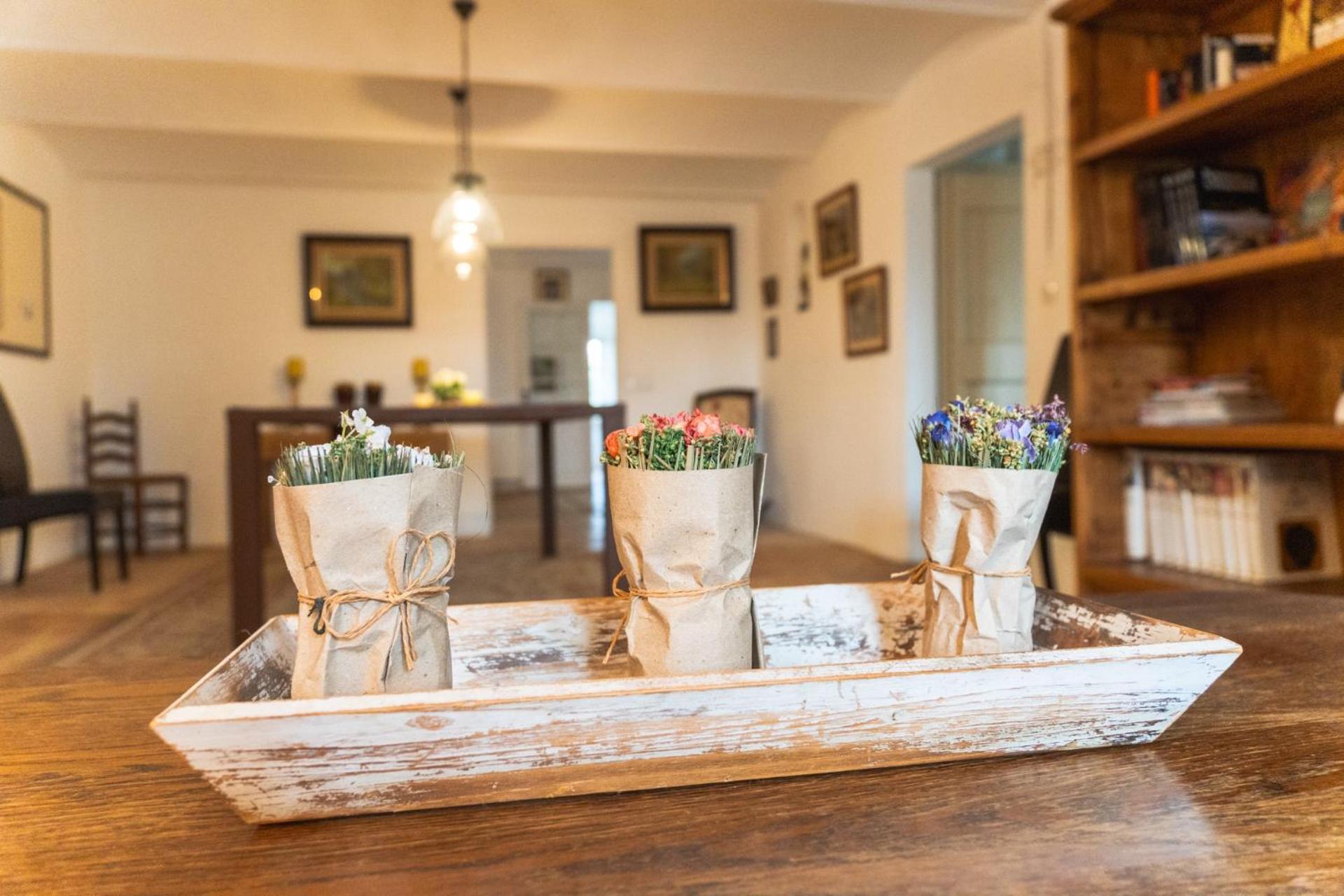 Mas Gran De Cruilles - Mas Rural - Hotel & Events Zewnętrze zdjęcie